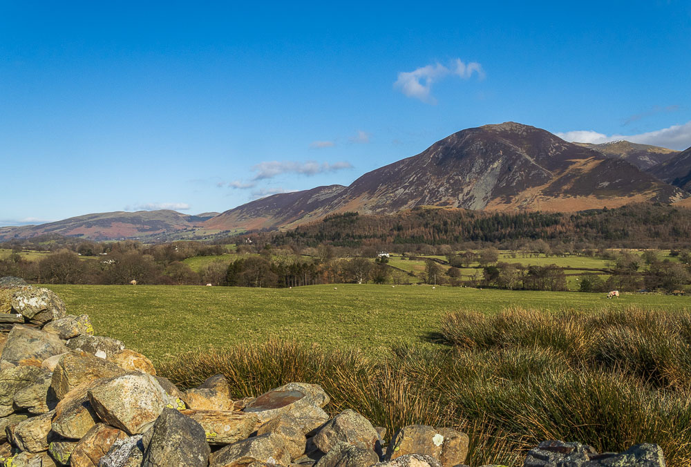 Lorton Vale